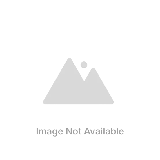 CNT04982